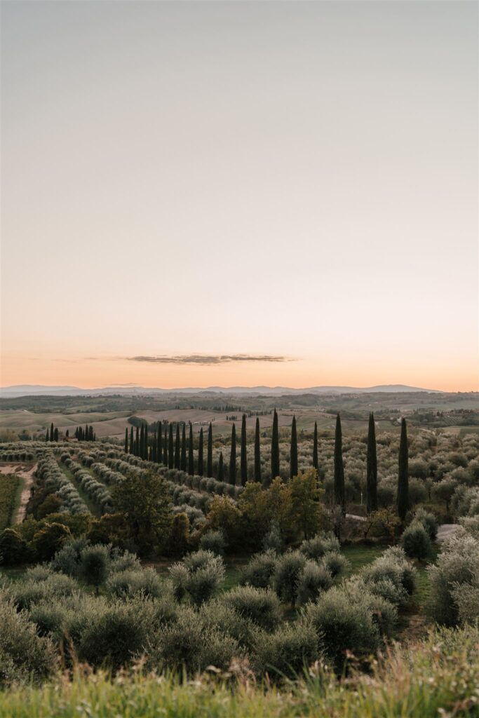 Tuscan hills sunset in italy