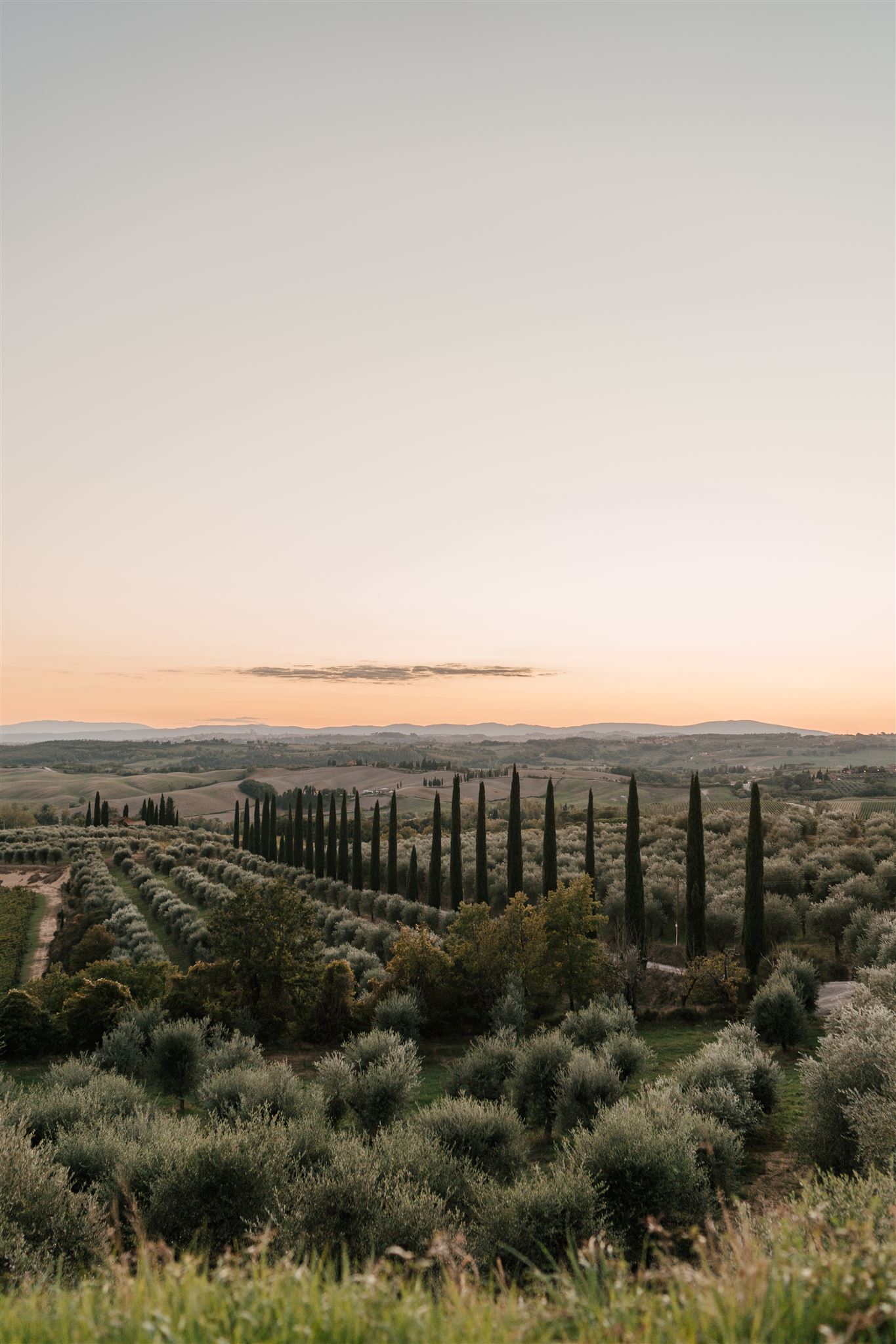 Tuscan hills sunset in italy