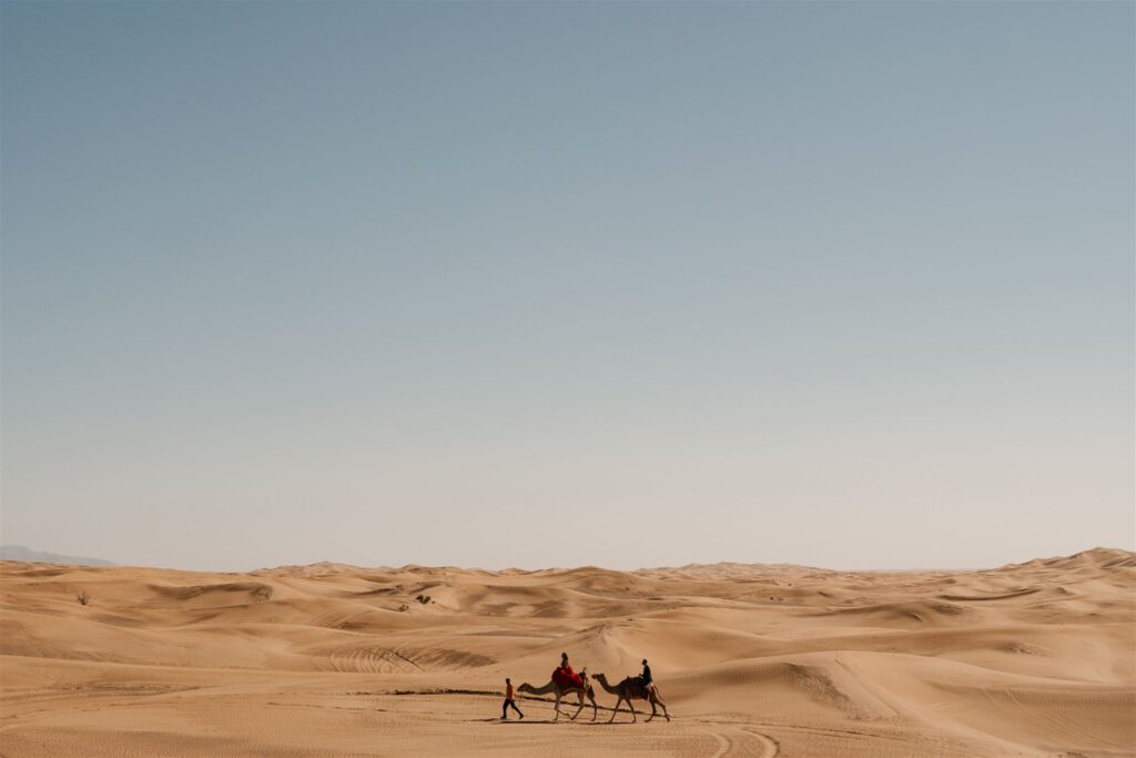 Dubai desert photoshoot with camels by phosart